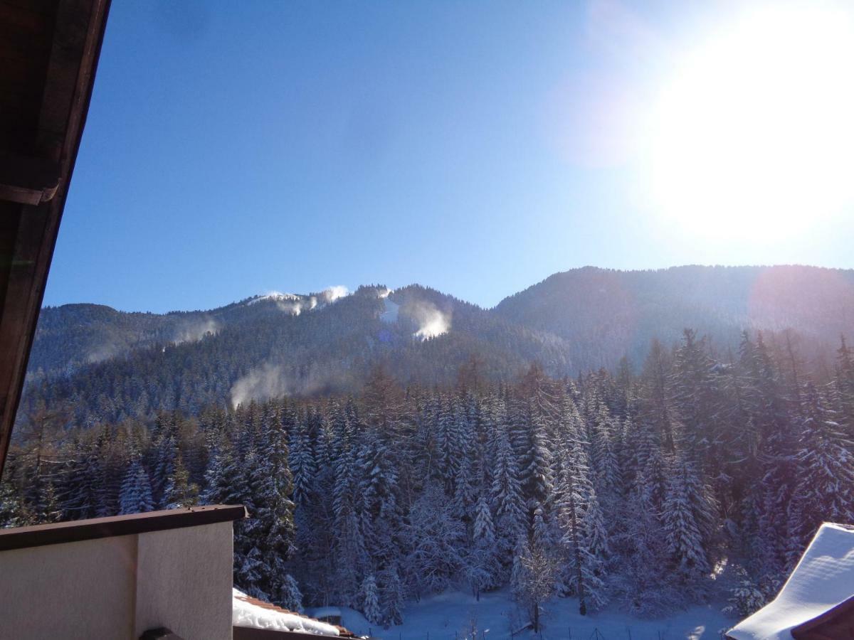 Apartament Yastrebetz View